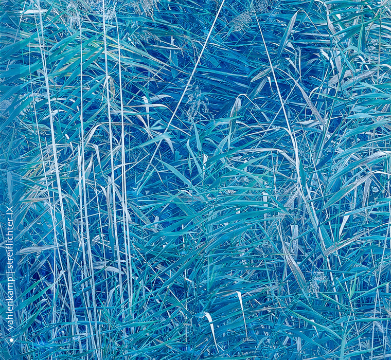2023_Cover