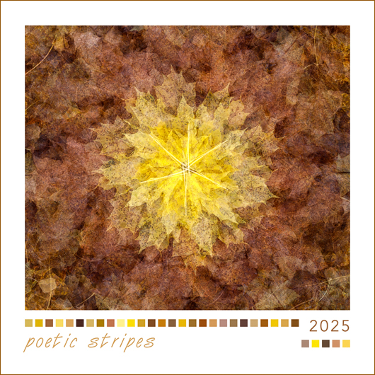 2025_ps_00titel_530